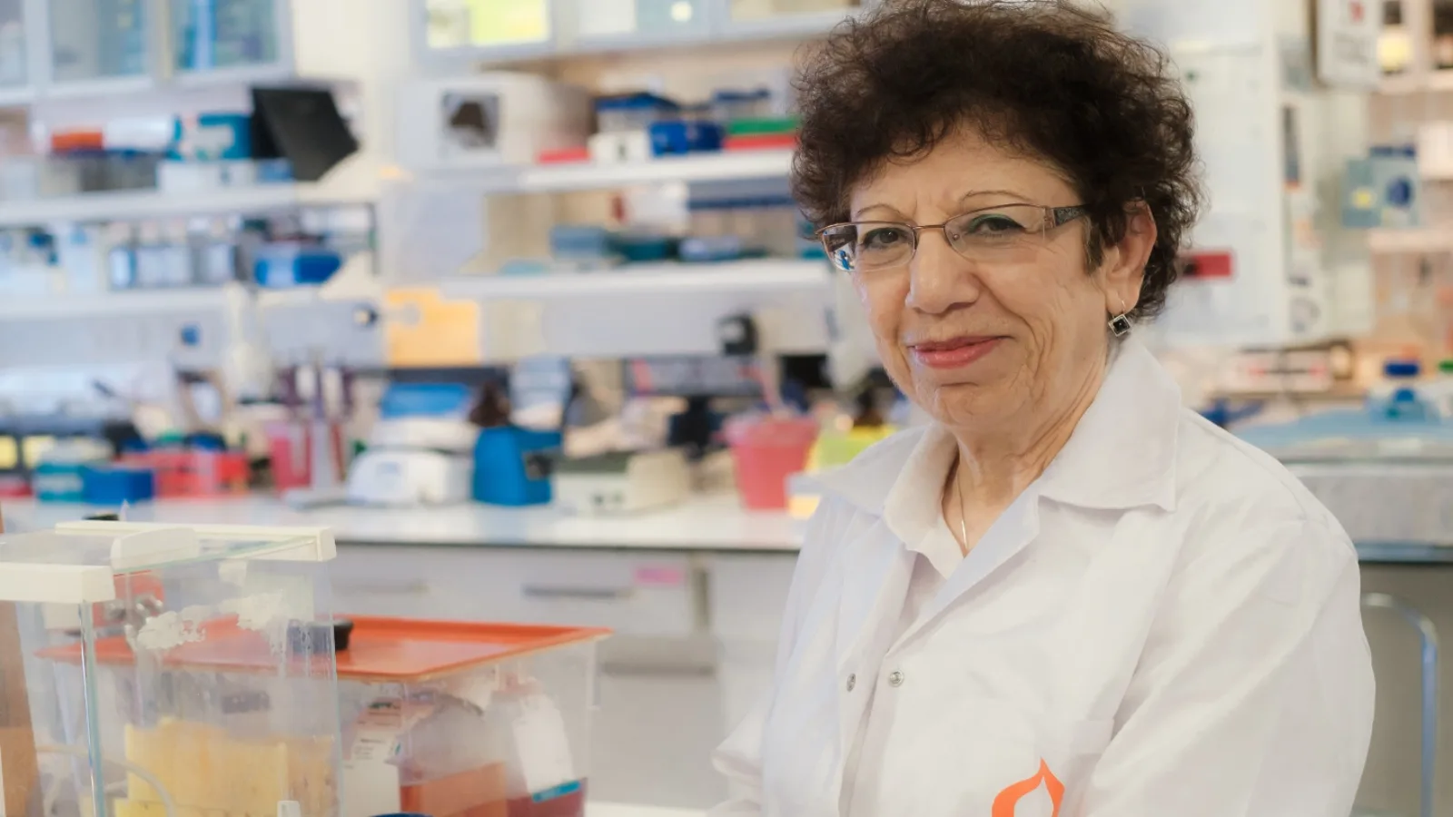 BGU Scientists Find Possible Cancer Breakthough